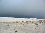 White Sands, New Mexico, March 21, 
