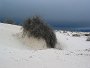 White Sands, New Mexico, March 21, 